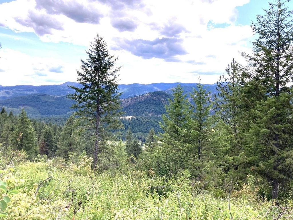 #T BUFFY Ln, Inchelium, WA 99138 photo 11