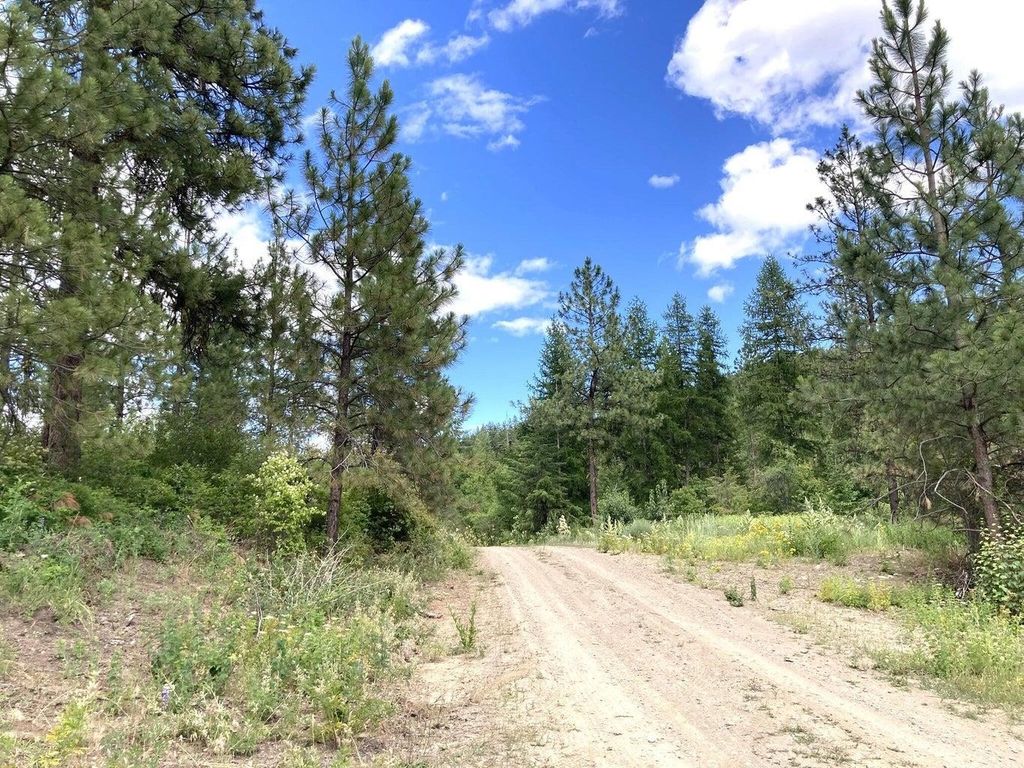 #T BUFFY Ln, Inchelium, WA 99138 photo 13