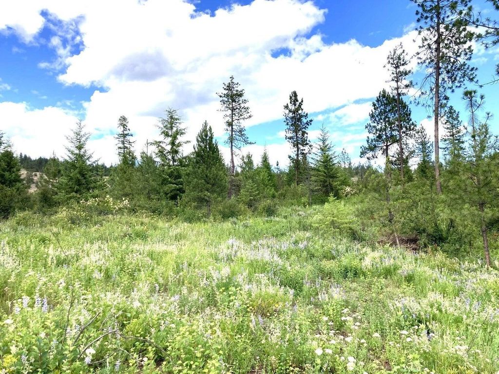 #T BUFFY Ln, Inchelium, WA 99138 photo 3