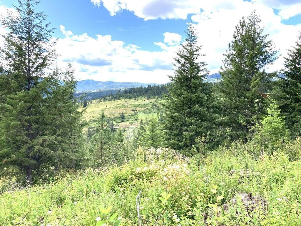 #T BUFFY Ln, Inchelium, WA 99138 photo 4