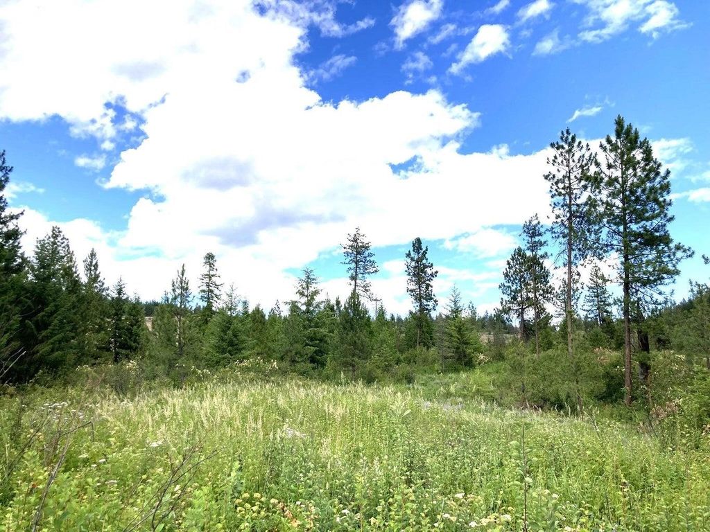 #T BUFFY Ln, Inchelium, WA 99138 photo 5