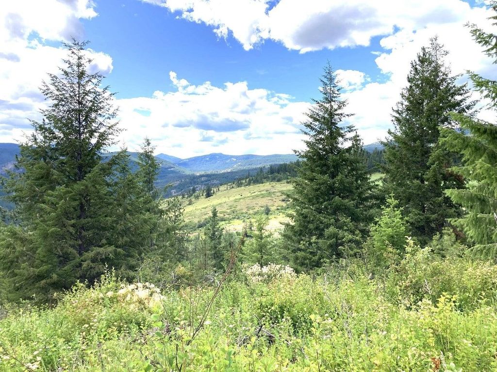 #T BUFFY Ln, Inchelium, WA 99138 photo 7