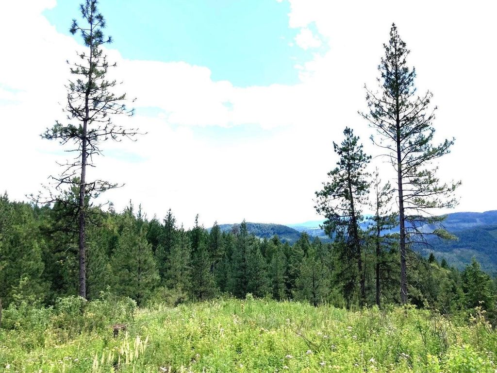 #T BUFFY Ln, Inchelium, WA 99138 photo 8