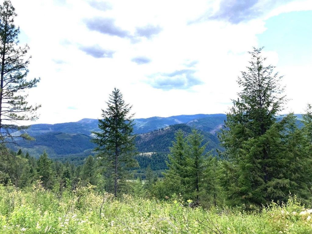 #T BUFFY Ln, Inchelium, WA 99138 photo 9