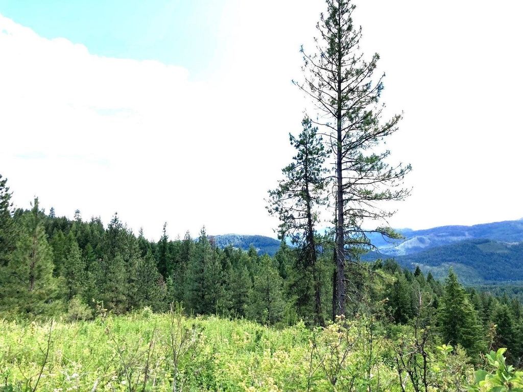 #T BUFFY Ln, Inchelium, WA 99138 photo 10