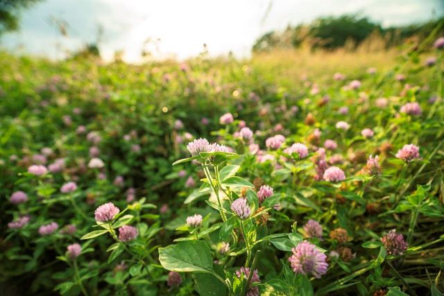 33117 SE 800 Road, Kincaid, KS 66039