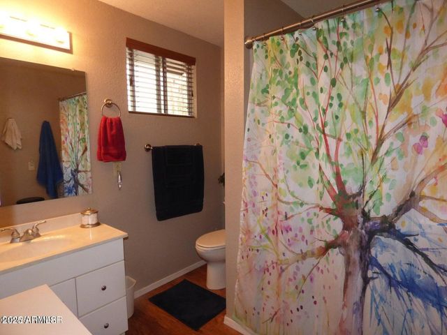 2537 SPRING Drive, Lakeside, AZ 85929