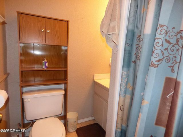 2537 SPRING Drive, Lakeside, AZ 85929