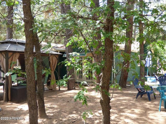 2537 SPRING Drive, Lakeside, AZ 85929