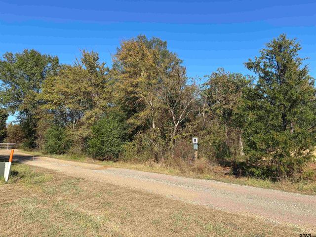 Lot 166 Kitty Hawk Dr., Frankston, TX 75763