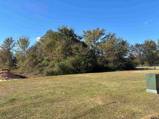 Lot 166 Kitty Hawk Dr., Frankston, TX 75763