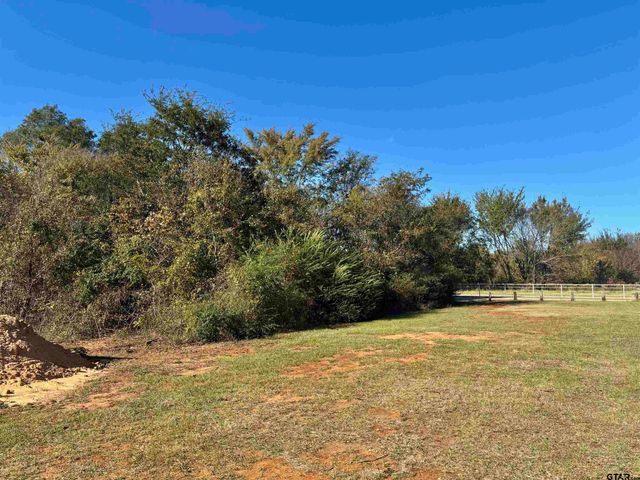 Lot 166 Kitty Hawk Dr., Frankston, TX 75763