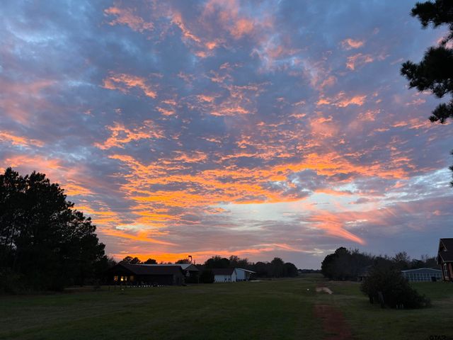 Lot 166 Kitty Hawk Dr., Frankston, TX 75763