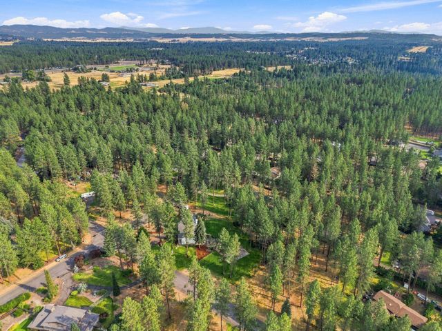 17317 N Saddle Hill Rd, Colbert, WA 99005