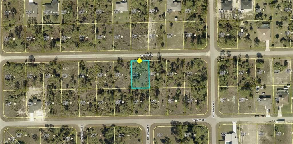 1224 Count ST E, LEHIGH ACRES, FL 33974 — photo 2