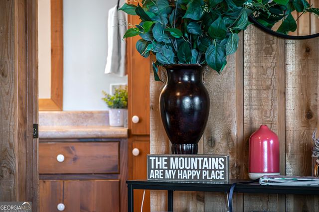 174 Chestnut Ridge, Blue Ridge, GA 30513