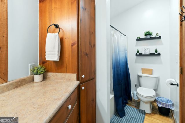 174 Chestnut Ridge, Blue Ridge, GA 30513