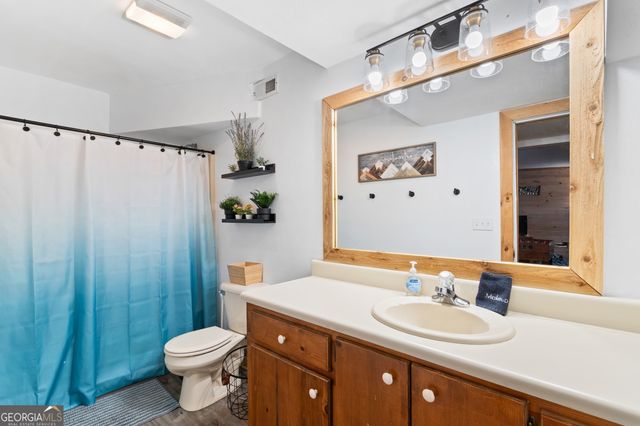 174 Chestnut Ridge, Blue Ridge, GA 30513