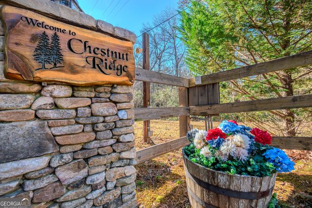 174 Chestnut Ridge, Blue Ridge, GA 30513