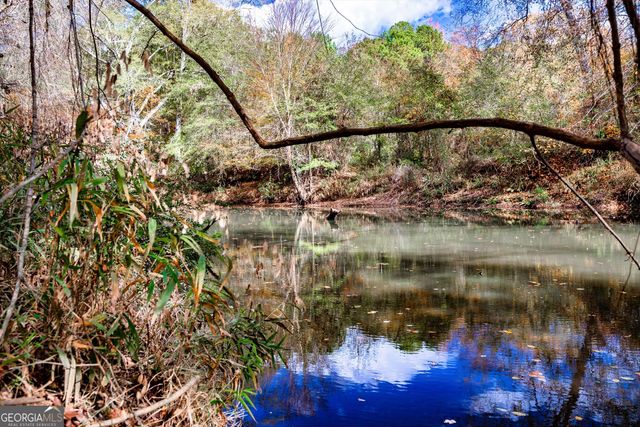 0 Morgan Mill Road, Senoia, GA 30276