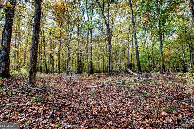 0 Morgan Mill Road, Senoia, GA 30276