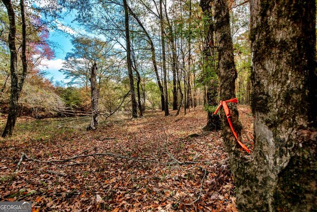 0 Morgan Mill Road, Senoia, GA 30276