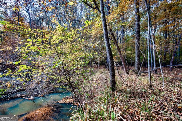 0 Morgan Mill Road, Senoia, GA 30276