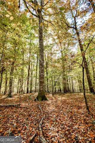 0 Morgan Mill Road, Senoia, GA 30276