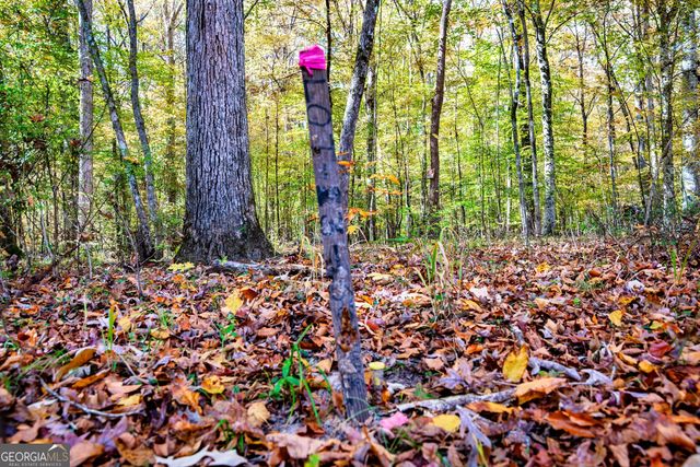 0 Morgan Mill Road, Senoia, GA 30276