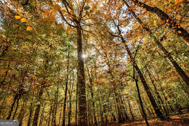 0 Morgan Mill Road, Senoia, GA 30276