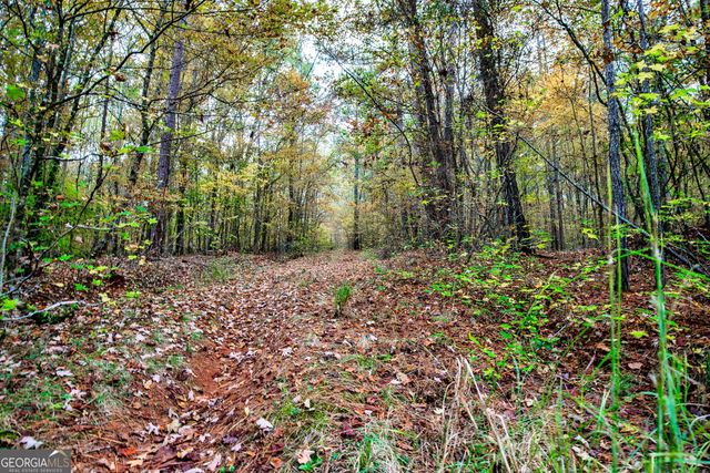 0 Morgan Mill Road, Senoia, GA 30276