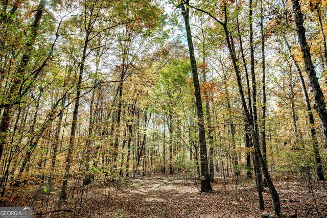 0 Morgan Mill Road, Senoia, GA 30276
