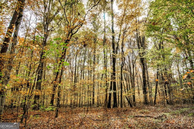 0 Morgan Mill Road, Senoia, GA 30276