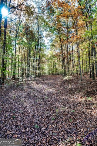 0 Morgan Mill Road, Senoia, GA 30276