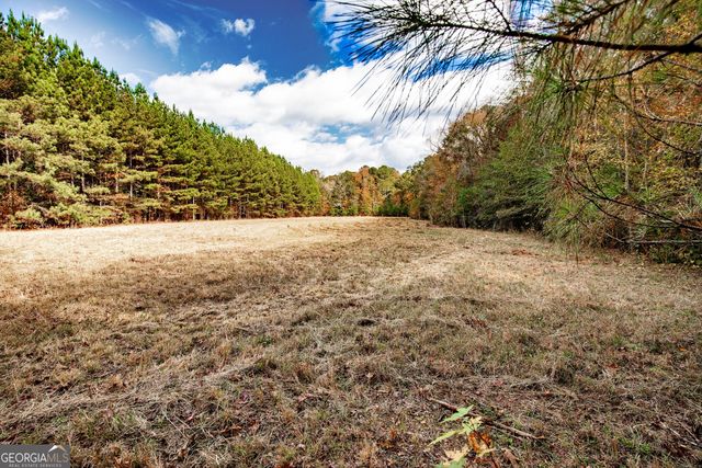 0 Morgan Mill Road, Senoia, GA 30276