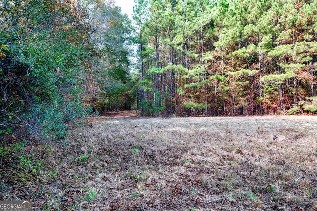0 Morgan Mill Road, Senoia, GA 30276