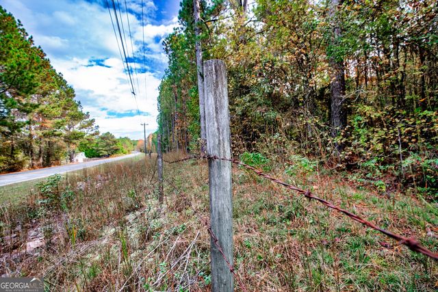 0 Morgan Mill Road, Senoia, GA 30276