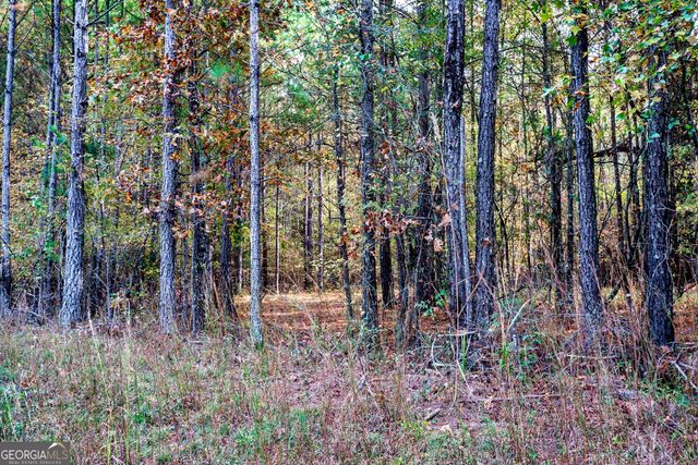 0 Morgan Mill Road, Senoia, GA 30276