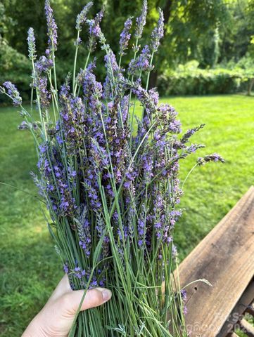 65 Owenby Road, Candler, NC 28715