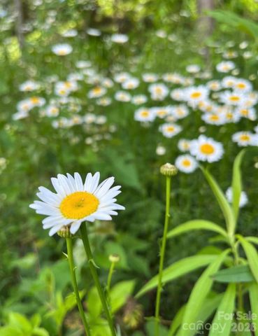 65 Owenby Road, Candler, NC 28715