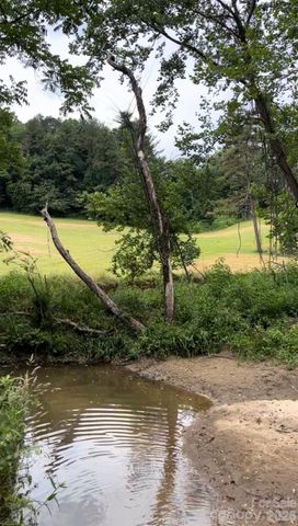 65 Owenby Road, Candler, NC 28715