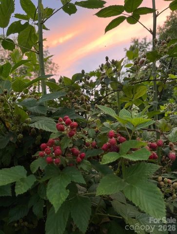 65 Owenby Road, Candler, NC 28715