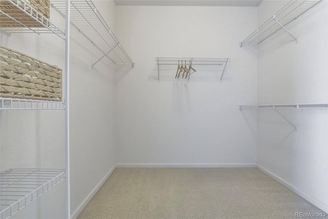 879 Glenarbor Circle, Longmont, CO 80504