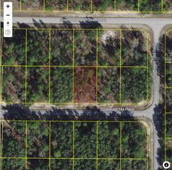 TBD SW 144 PLACE OCALA, Ocala, FL 34473