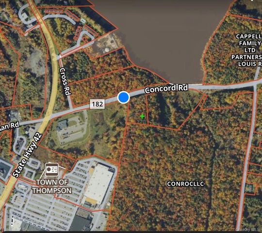42 Concord Road, Kiamesha Lake, NY 12751