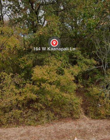 162 & 164 W Kaanapali LN, Bastrop, TX 78602