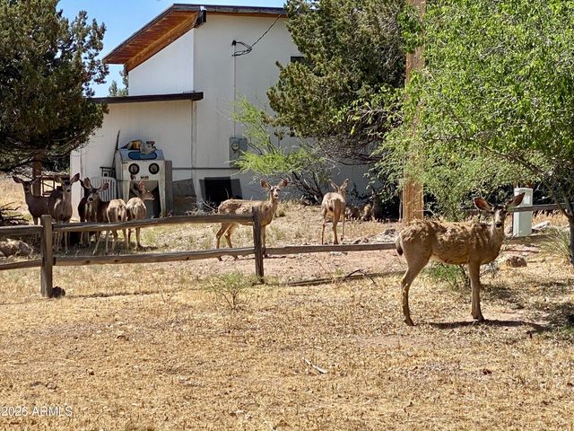 4615 E GERONIMO Road, Rimrock, AZ 86335