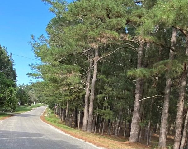 147 Oak Leaf DR, Bastrop, TX 78602