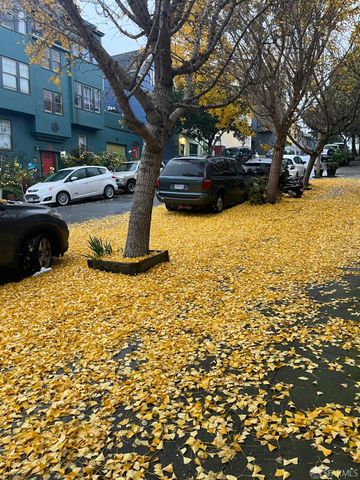 250 Coleridge Street B, San Francisco, CA 94110