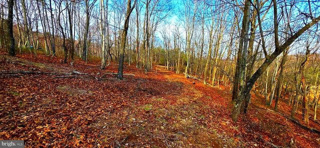 163 OLIVE BRANCH RD, Rio, WV 26755